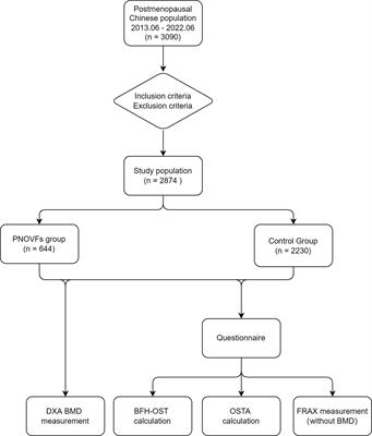 Comparison of four tools to identify painful new osteoporotic vertebral fractures in the postmenopausal population in Beijing